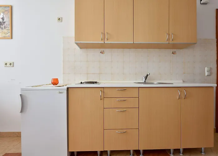 Vesna 2 With Terrace Lejlighed